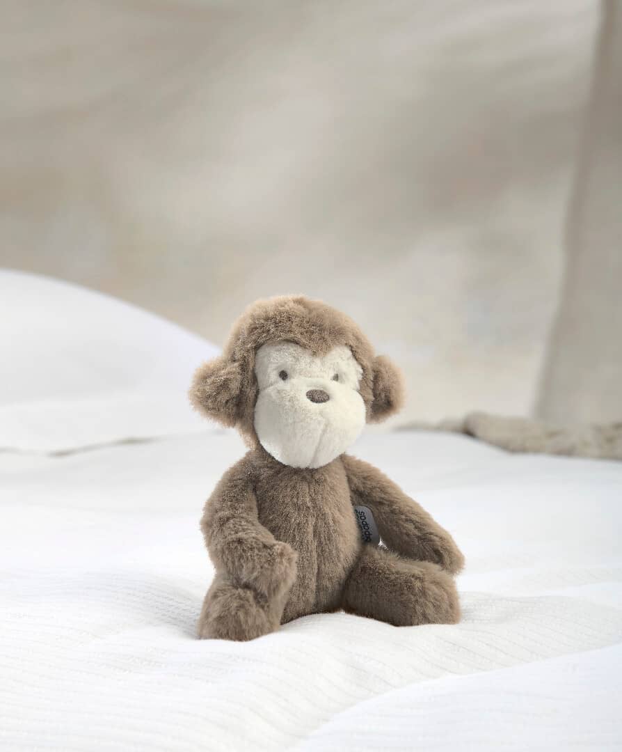 Small Soft Toy - Monty Monkey — լուսանկար 1