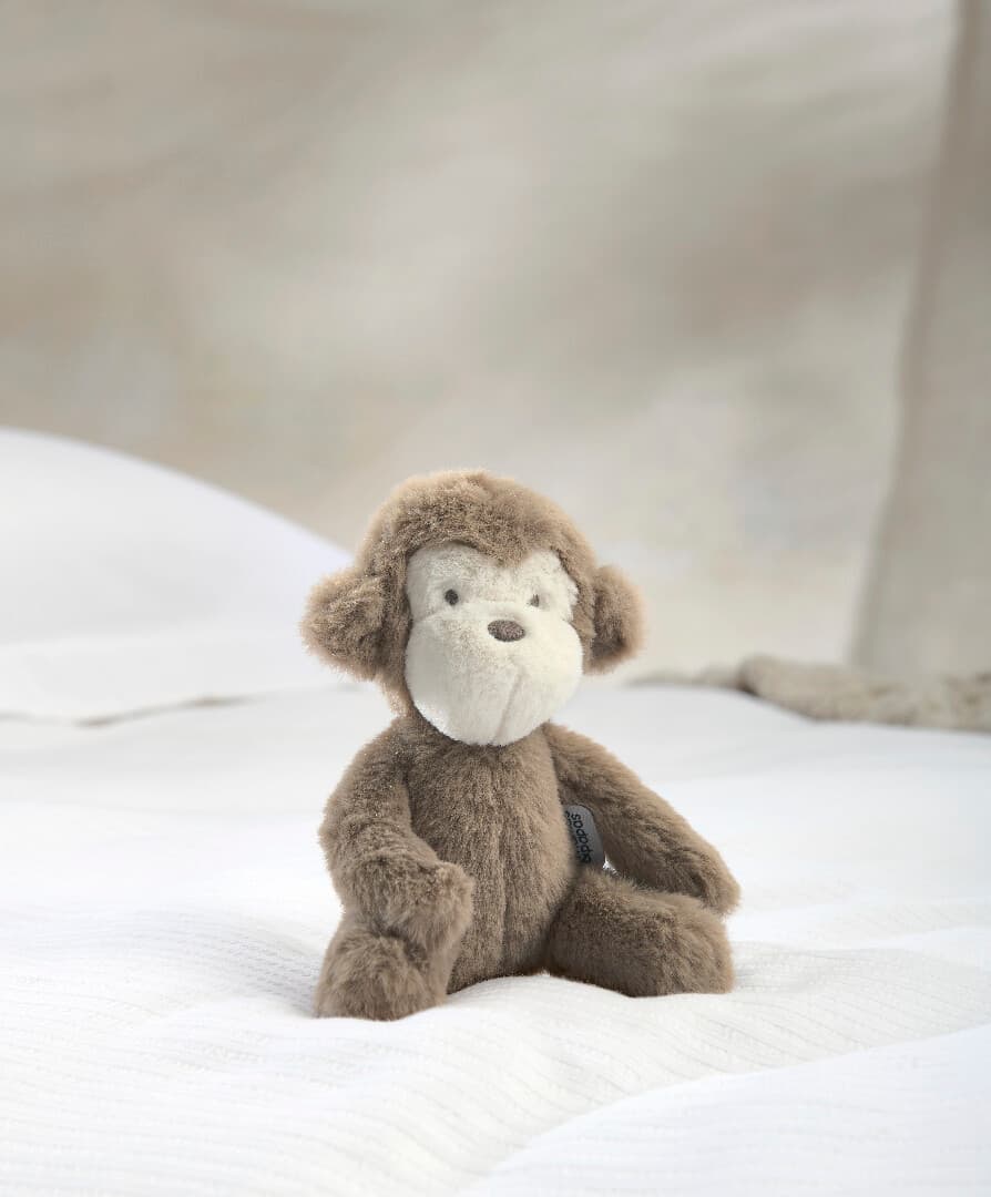 Small Soft Toy - Monty Monkey
